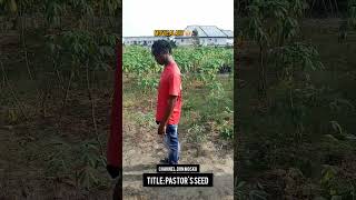 PASTORS SEED  BTS fa8th movie film action Pastorsseed [upl. by Euqinotna]