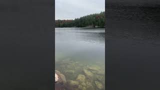 Beautiful Calabogie canada nature new lake foryou chill fall fishing overcast beautiful [upl. by Aloap]