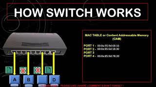 What is Network Switch  Everything about Switches  Switch Working  Full detail in Hindi [upl. by Naziaf]