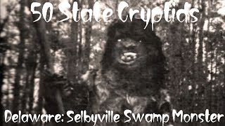 50 State Cryptids Selbyville Swamp Monster Delaware [upl. by Englebert]