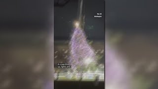 White House Christmas tree falls [upl. by Rosenstein]