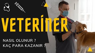 Veteriner nasıl olunur  Veteriner kaç para kazanır [upl. by Adnahsal]