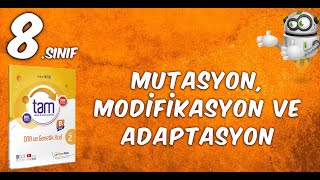 Mutasyon Modifikasyon ve Adaptasyon Kazanım Testi  2  Hiperzeka Tam Öğrenme Modülü [upl. by Loar]