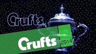 Best in Show  Highlights  Crufts 2014 [upl. by Capriola]