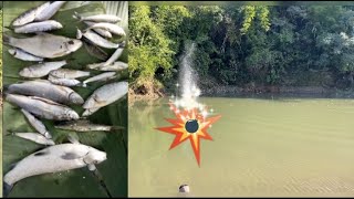 Dynamite fishing in river Overnight camping Nagaland [upl. by Atirhs632]