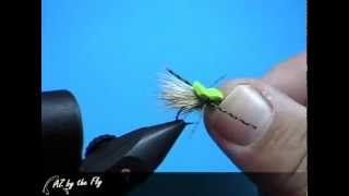 AZ Wanderings Mini Hopper Fly Pattern [upl. by Drofla]