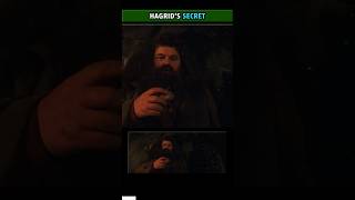 Hagrids Secret [upl. by Norok752]