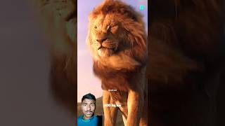 Lion king shorts youtubeshorts viralvideo [upl. by Essirahc]