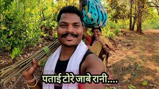 पताई टोरे जाबे रानी  tendu patta ke torai । पान टोरई vlog [upl. by Nodlew]