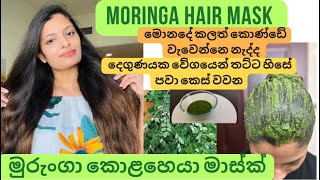 Moringa Hair Mask  මුරුංගා කොළ මාස්ක් Murunga kola hair mask  Hair Growth Miracle leaves [upl. by Lamaj58]