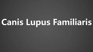 How To Pronounce Canis Lupus Familiaris [upl. by Grail]