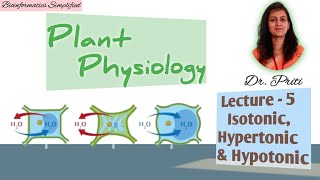 Plant Physiology I Lecture 5 Hypertonic Hypotonic amp Isotonic solutions I Bioinformatics Simplified [upl. by Oniotna237]