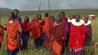 GMA on Safari Witnessing a Maasai Wedding [upl. by Ahseile291]