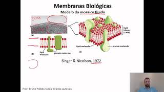 Aula 2  Membrana Biológica Plasmática [upl. by Robins989]