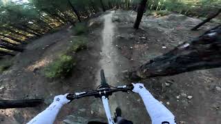 Zlatisa Pirodop Golden Dust Bike Park Bike Jamboree 2024 Chainless Race [upl. by Morice]