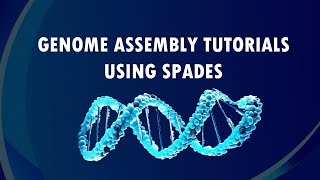 Genome Assembly Workflow Tutorial with SPADes  llumina Reads  Bioinformatics 101 for Beginners [upl. by Eked]