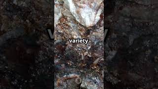 Nepheline syenite  Please Subscribe geology history facts science foryou foryoupage shorts [upl. by Hanonew]