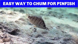 How To Chum For Pinfish And Save Tons of Money [upl. by Iridissa]