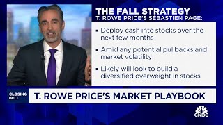 T Rowe Prices Sebastien Page bullish case for international small caps [upl. by Leesen]