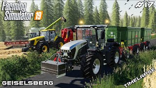 Harvesting wheat amp soybeans  Animals on Geiselsberg  Farming Simulator 19  Episode 17 [upl. by Enoob]