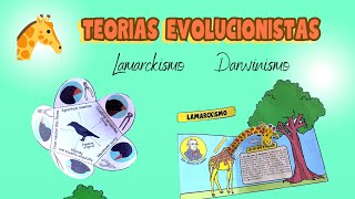 Teorias evolucionistas [upl. by Pyszka]