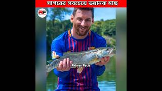 সাগরের সবচেয়ে বিপদজনক মাছ 🐬 Most Dangerous Fish in The Sea shorts wildlife animals cr7 messi [upl. by Felike]