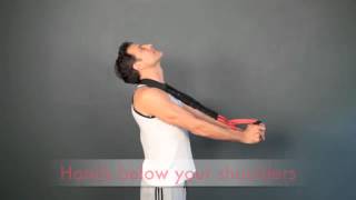 Pro Lordotic Neck Exerciser with Adam Fields DC [upl. by Tiebold]