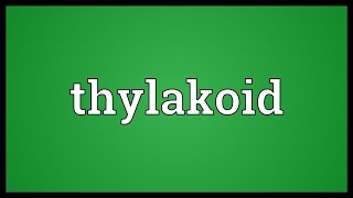 Thylakoid Meaning [upl. by Spooner865]