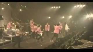 TOKYO SKA PARADISE ORCHESTRA  Down Beat Stomp [upl. by Snook]