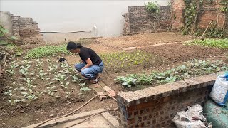 Mom and monkey caca go to the garden to water the vegetables [upl. by Ikaz]