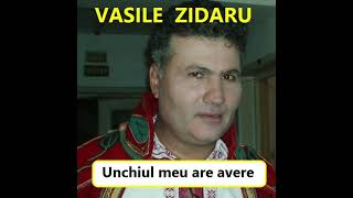 Vasile ZidaruUnchiul meu are averePARODIE [upl. by Barri821]