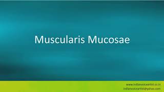 Pronunciation of the words quotMuscularis Mucosaequot [upl. by Ynna9]