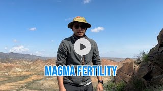 Magma Fertility Analysis [upl. by Sirtimed]