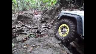 Part2 11 Trucks crawling  RC Trail Adventures at Chestnut Ave  SG Crawler Mudding [upl. by Nilesoj]