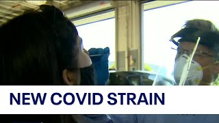 New COVID19 strain XBB 15 is spreading rapidly across the US [upl. by Zetana]