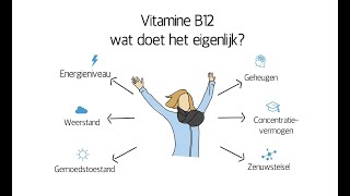 Vitamine B12 wat doet het eigenlijk [upl. by Kolosick]