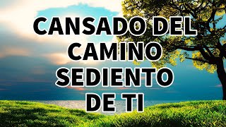 CANSADO DEL CAMINO SEDIENTO DE TI  ADORACIONES Y ALABANZAS PODEROSAS PARA ORAR  ALABANZAS 2023 [upl. by Leila763]