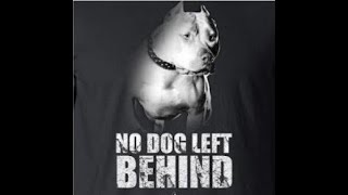 NO DOG LEFT BEHIND  ACE [upl. by Assir]