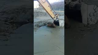 Excavator Rescues Endangered Animals shorts animallover nature [upl. by Nahej]