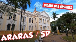 ARARAS  SP A Cidade das Árvores  Caminhando pelo Centro da Cidade Dezembro2022 [upl. by Jakob379]