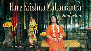 Hare Krishna Mahamantra Sankirtan  Anandmurti Gurumaa  Janmashtami Special 2024 [upl. by Sanyu80]