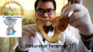 Obturator foramen [upl. by Enaoj]