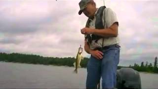 Crawler Walleye Fishing in Northwestern Ontario [upl. by Enomed528]