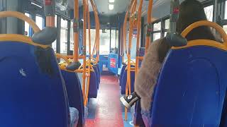 Next Year to Have Electrics Journey on Route 314 Stagecoach London LX59ECN 36364 212232 [upl. by Amelie832]