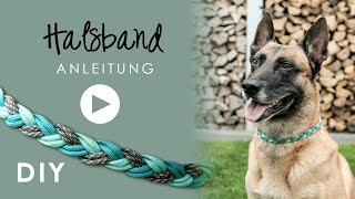 Halsband Hund DIY  Anleitung zum Selbermachen  einfaches  Paracord [upl. by Atrim910]