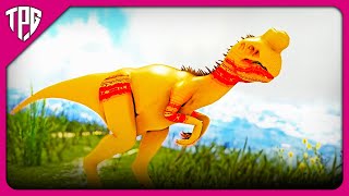 Taming Phoenix Oviraptor  ARK Phoenix Mod Tamil  EP7  ARK Tamil [upl. by Camilla456]