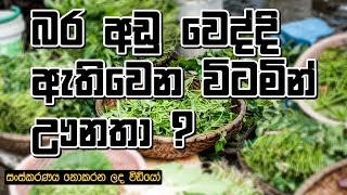 Weight Loss Vitamin deficiency in Sinhala unedited video [upl. by Vanderhoek716]