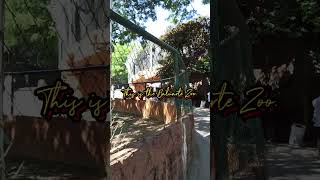 Baluarte Zoo [upl. by Northey355]