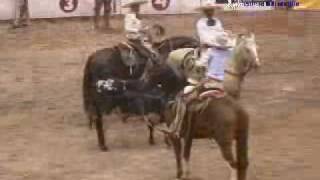 13 dia nacional charro 2008 decharros [upl. by Onileba]