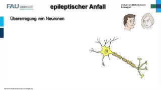 Neuropathologie ─ Epilepsie [upl. by Pega]